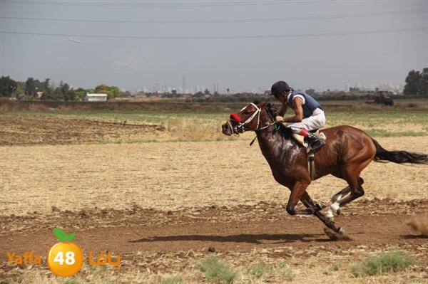 khoyoul lud 0610 (20).JPG